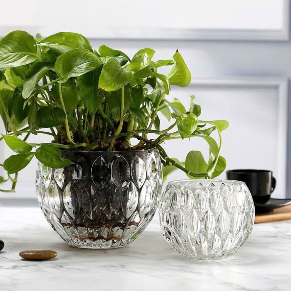 Bộ 2 chậu thuỷ tinh chấm bi để bàn trang trí decor LX8009 - Ảnh 9