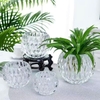 Bộ 2 chậu thuỷ tinh chấm bi để bàn trang trí decor LX8009 - Ảnh 5