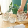 Bộ 2 chậu thuỷ tinh chấm bi để bàn trang trí decor LX8009 - Ảnh 6