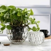 Bộ 2 chậu thuỷ tinh chấm bi để bàn trang trí decor LX8009 - Ảnh 7