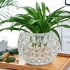 Bộ 2 chậu thuỷ tinh chấm bi để bàn trang trí decor LX8009 - Ảnh 8
